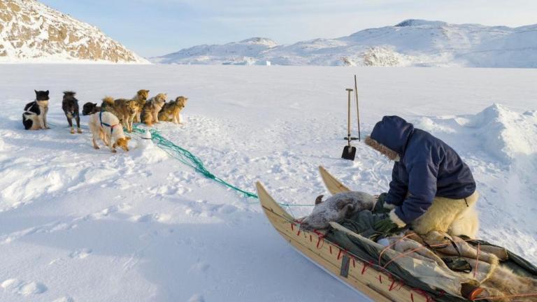 γροιλανδια