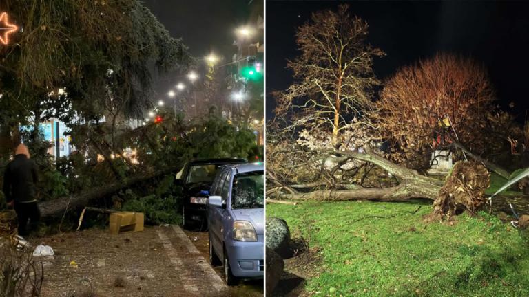 αλεξανδρουπολη