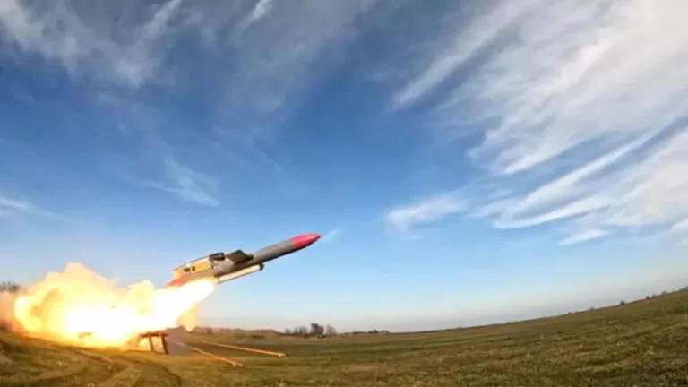 flamingo missile