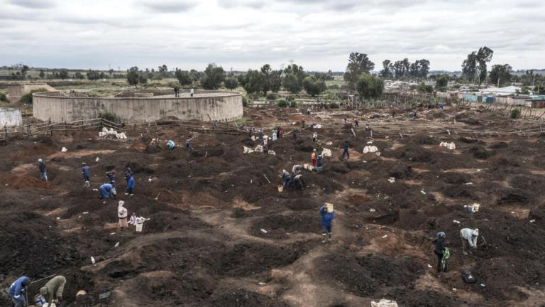 νοτια αφρικη χρυσος στο σπρινγκσ