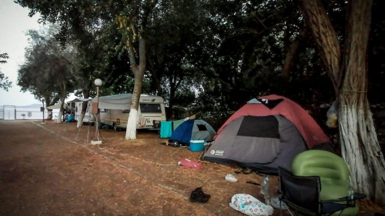 φοινικουντα