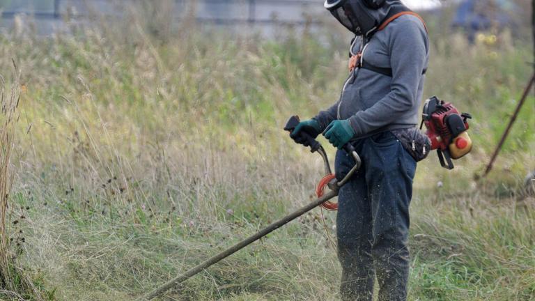 καθαρισμος οικοπεδων