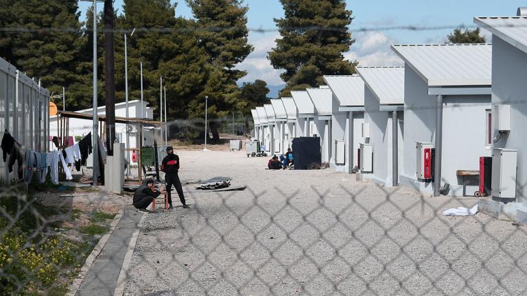 δομη ριτσωνας