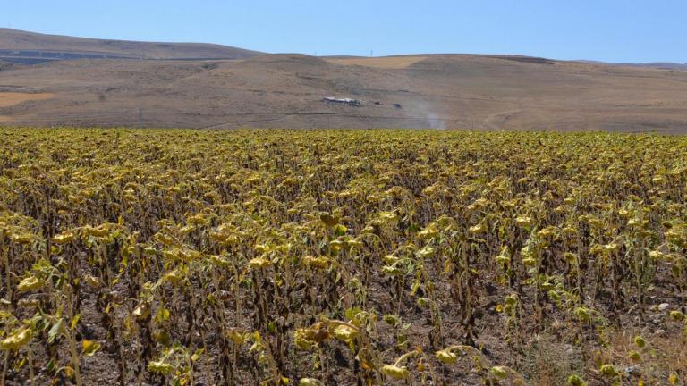 turkey episitistiki krisi