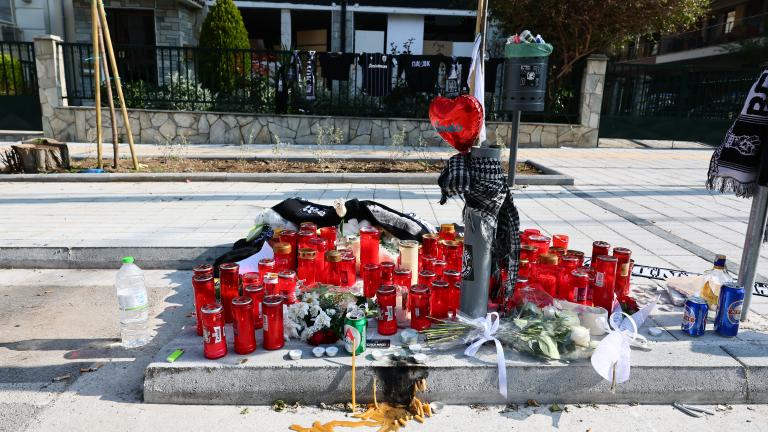 δολφονια καλαμαρια