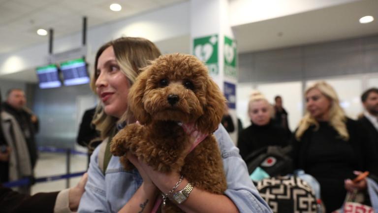 ΔΑΝΑΗ ΔΑΥΛΟΠΟΥΛΟΥ/EUROKINISSI