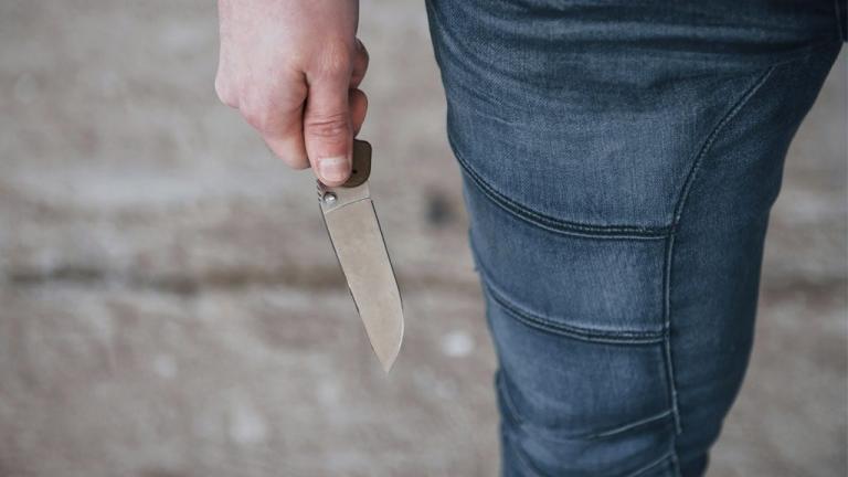 Στη σύλληψη μιας 26χρονης κοπέλας προχώρησαν οι αστυνομικές αρχές στις Σέρρες, μετά από αιματηρό επεισόδιο ανάμεσα σε δύο συγκατοίκους. Η νεαρή φέρεται να επιτέθηκε και να τραυμάτισε με μαχαίρι την 23χρονη συγκάτοικό της μέσα στο σπίτι όπου διέμεναν.