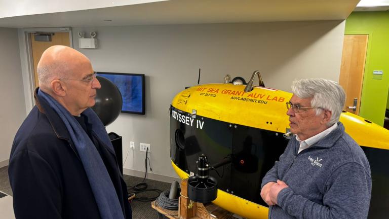 νικος δενδιας