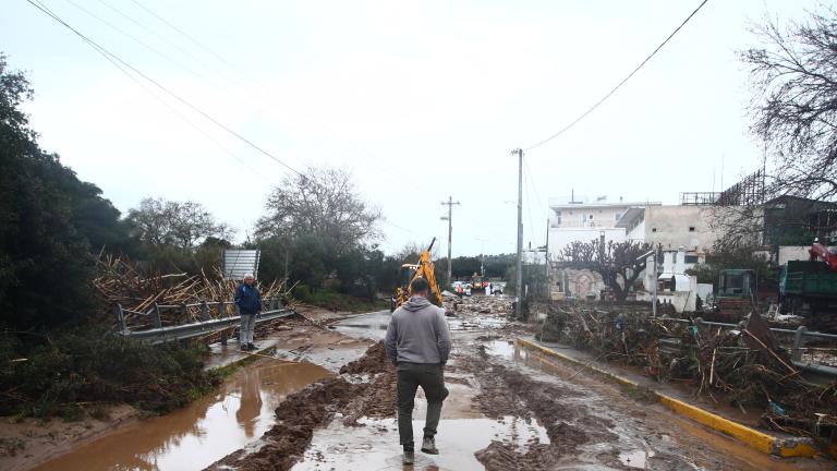 ραφηνα ermionio