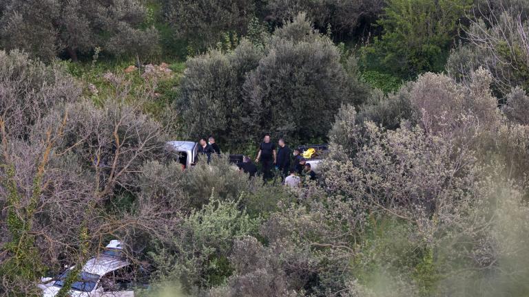 ΕΛΕΥΘΕΡΙΑ ΓΙΑΚΟΥΜΑΚΗ