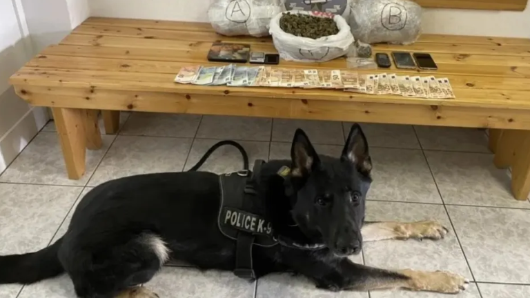 Θεσσαλονίκη: Ο «Ακύλας» εντόπισε κρυμμένη κοκαΐνη σε πορτ μπαγκάζ αυτοκινήτου