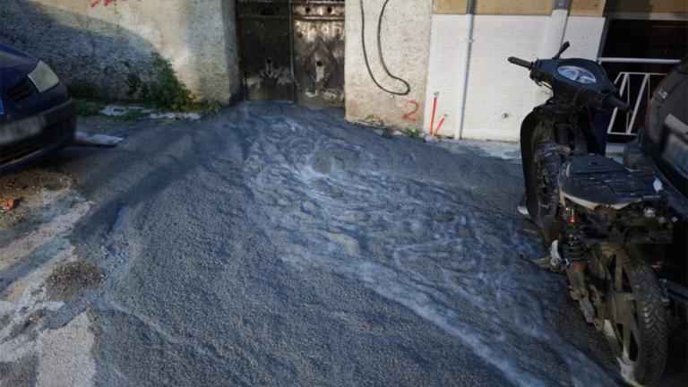 κυψελη τσιμεντο