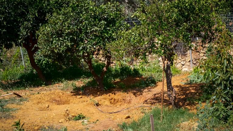 Λεβεντάκη