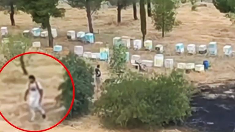μελισοκομος