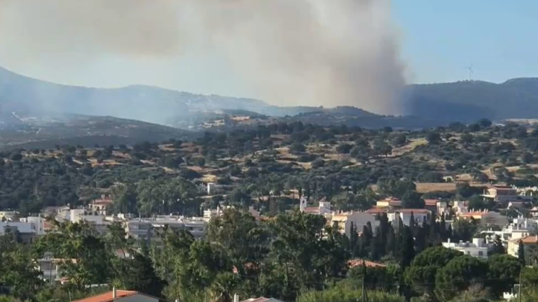 καυροστος