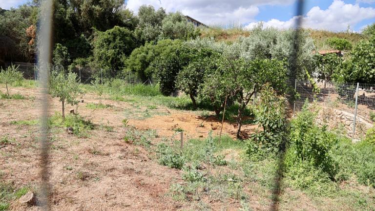 Το σημείο όπου βρέθηκε η σορός της Σταυρούλας Λεβεντάκη