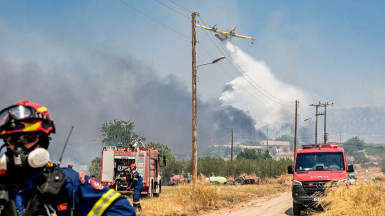 Σε εξέλιξη πύρινα μέτωπα σε Βοιωτία, Αργολίδα και Αχαΐα – Εκκενώσεις και ισχυρές δυνάμεις