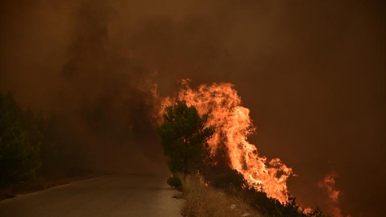ΠΥΡΚΑΓΙΑ ΣΤΗΝ ΠΕΡΙΟΧΗ ΤΗΣ ΔΟΜΒΡΑΙΝΑΣ ΣΤΗΝ ΒΟΙΩΤΙΑ