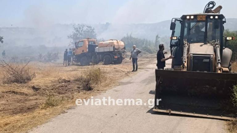 Εύβοια: Σε εξέλιξη η πυρκαγιά στον δήμο Κύμης-Αλιβερίου – Προληπτική απομάκρυνση κατοίκων 