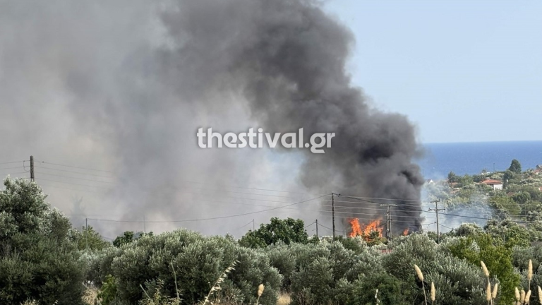 Φωτιά στη Νέα Καλλικράτεια Χαλκιδικής: Μήνυμα εκκένωσης από το 112 – Κινδυνεύουν κατοικίες