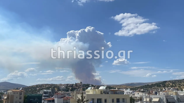 Μεγάλη πυρκαγιά στην Οινόη: Επιχειρούν επίγειες και εναέριες δυνάμεις - Δεν απειλούνται κατοικίες