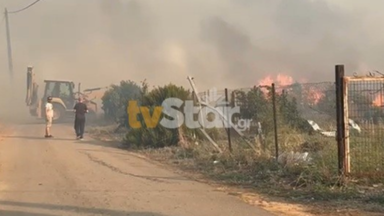Βοιωτία: Δύο ενεργά μέτωπα φωτιάς – Μηνύματα του 112 και σχέδιο απομάκρυνσης πολιτών με πλωτά μέσα