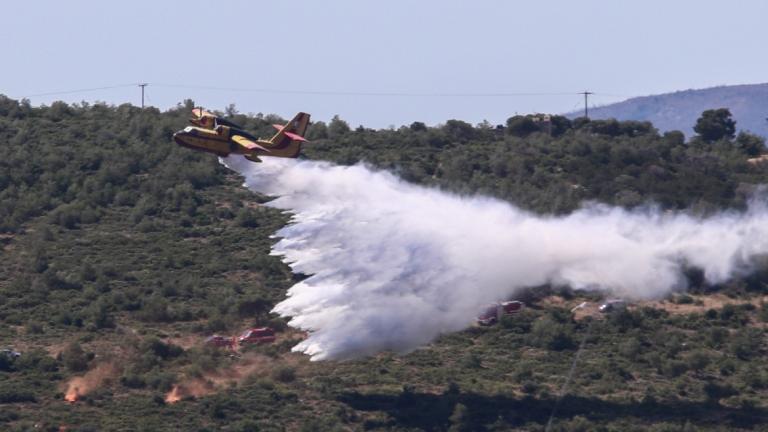 φωτια στο γυθειο