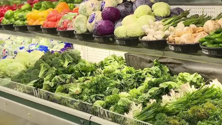 Κυκλοσπορίαση: Τι είναι η παρασιτική λοίμωξη που εξαπλώνεται στις ΗΠΑ – Στο επίκεντρο το μαρούλι