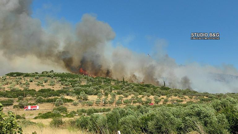 Φωτιά στην Αργολίδα: Νέο μέτωπο στη Χινίτσα – Ισχυρές δυνάμεις στην επιχείρηση κατάσβεσης