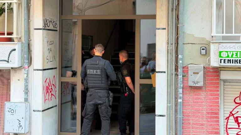 συλληψη για τη βαγια νεστορα