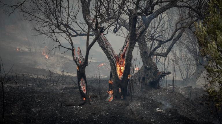 Λέσβος: Ολονύχτια μάχη με τη μεγάλη πυρκαγιά στο Πλωμάρι – Κρίσιμες οι επόμενες ώρες
