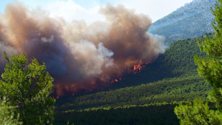 Στον εισαγγελέα οι δύο συλληφθέντες για τη μεγάλη πυρκαγιά σε Βοιωτία και Αττική - Κατηγορούνται για εμπρησμό
