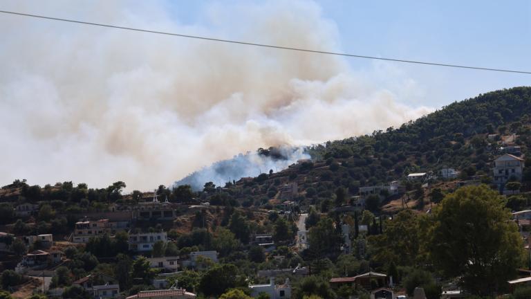 Σαλαμίνα: Δύο νεκροί από τις φωτιές σε Περιστέρια και Σελήνια – Τραυματίες και μεγάλη κινητοποίηση
