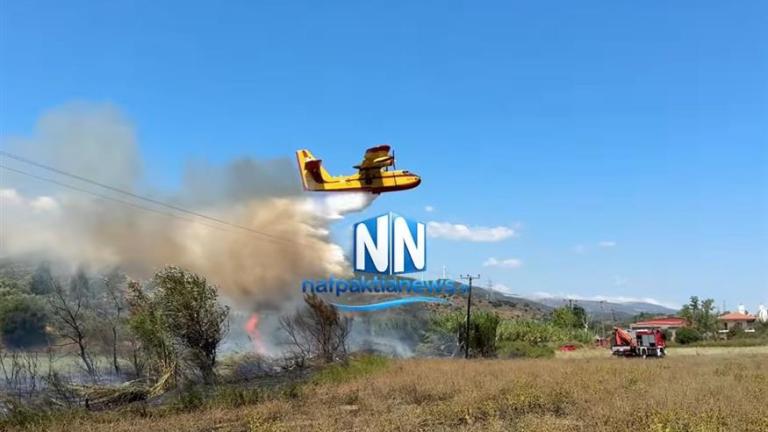 Διπλό μέτωπο πυρκαγιών σε Ναυπακτία και Χαλκιδική – Μηνύματα εκκένωσης από το 112 και κινητοποίηση της Πυροσβεστικής