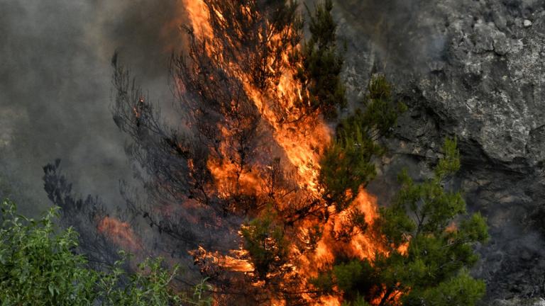 Σε κατάσταση αυξημένης ετοιμότητας βρίσκονται οι αρχές για την Κυριακή (9/8) και τη Δευτέρα, εξαιτίας των ιδιαίτερα δυσμενών πυρομετεωρολογικών συνθηκών που αναμένεται να επικρατήσουν στη χώρα.
