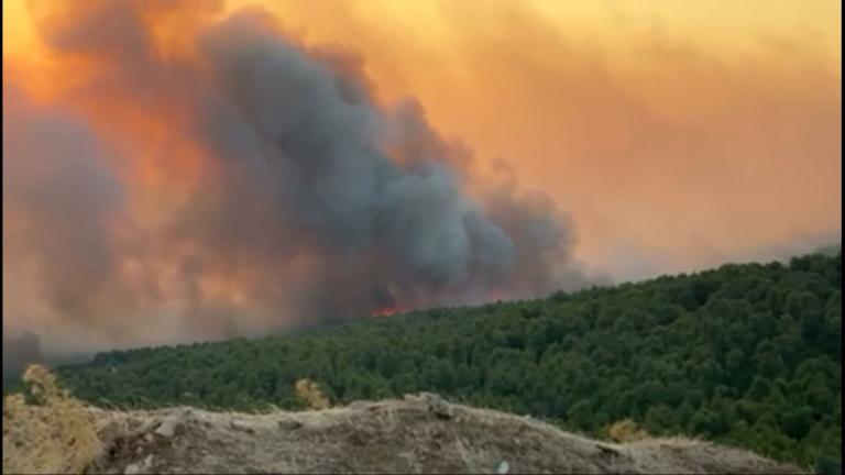 Πυρκαγιά στη Σκύρο: Ενισχύθηκαν οι δυνάμεις δασοπυρόσβεσης – Προς το Πεύκο το μέτωπο