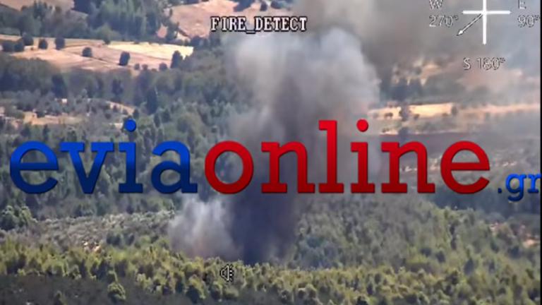 Φωτιά στην Εύβοια: Μήνυμα 112 για εκκένωση της Τριάδας προς Ψαχνά – Ισχυρές δυνάμεις στην περιοχή