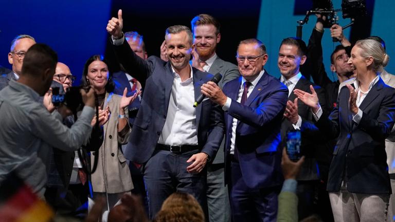 γερμανια afd