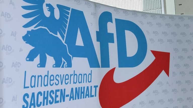 afd sachsen-anhalt