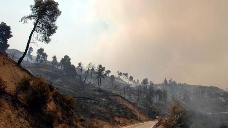 Σύλληψη εμπρηστή στο Αίγιο - Είχε βάλει τέσσερις πυρκαγιές 