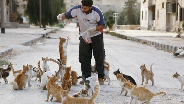 'Ενας άντρας φροντίζει με την καρδιά τους τις γάτες στο Χαλέπι