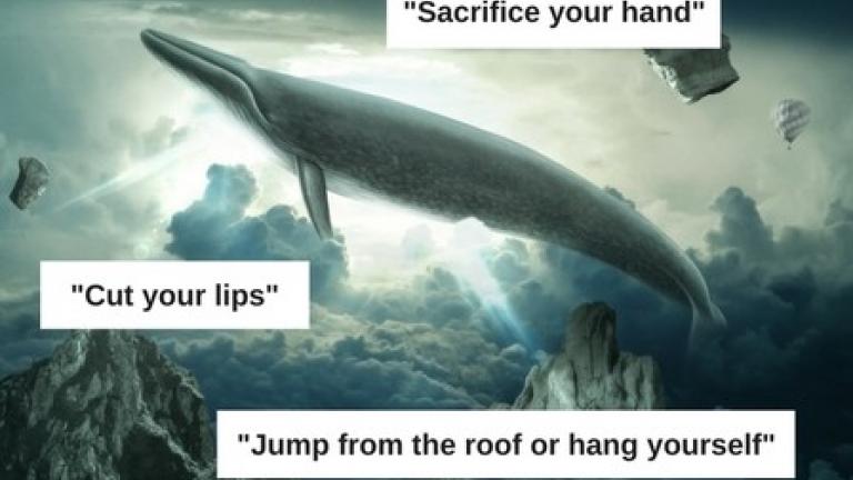 Προσοχή! Διαδικτυακό “παιχνίδι” «Blue Whale Challenge» προκαλεί εφήβους να αυτοτραυματίζονται