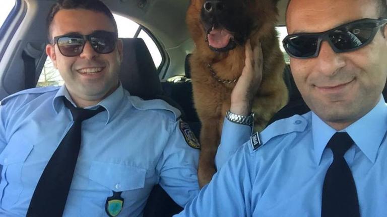 Κρήτη: Η ΕΛ.ΑΣ. έσωσε σκύλο από την Εθνική Οδό και τον υιοθέτησε!