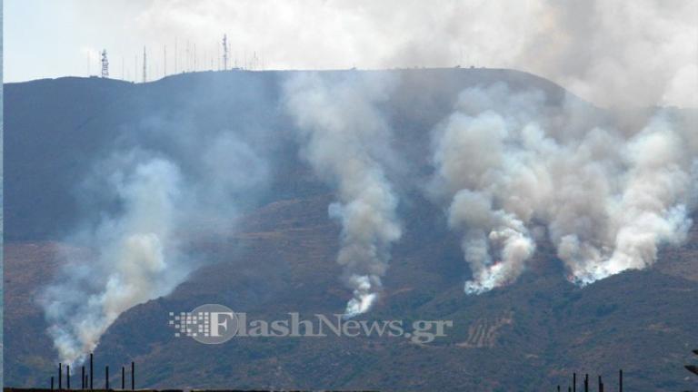 Τέθηκε υπό έλεγχο η πυρκαγιά στη Μαλάξα 