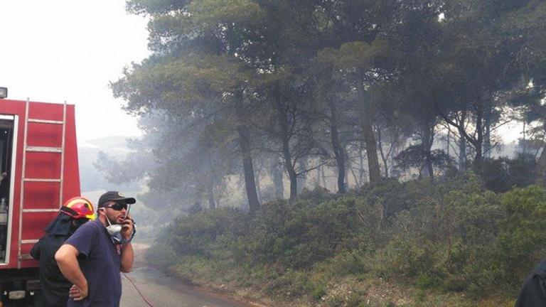 Υπό έλεγχο η φωτιά στα Καλύβια και καλύτερη εικόνα στα δύο πύρινα μέτωπα της Ζακύνθου