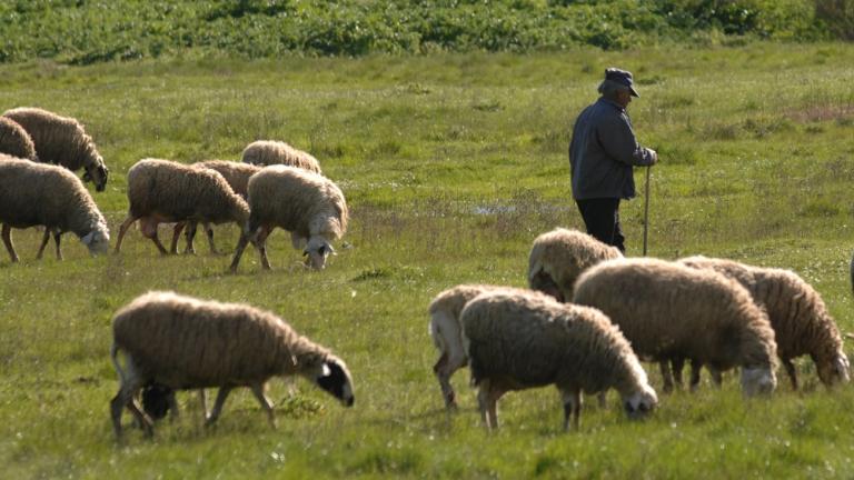 Δημοτικά τέλη "χωρίς αντίκρυσμα" για τους κτηνοτρόφους του δήμου Ωραιοκάστρου