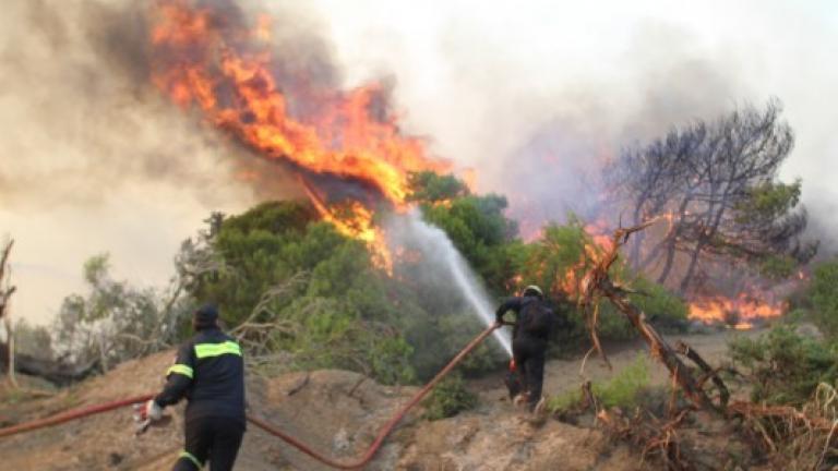 Νέα πυρκαγιά σε δασική έκταση στην Ζάκυνθο