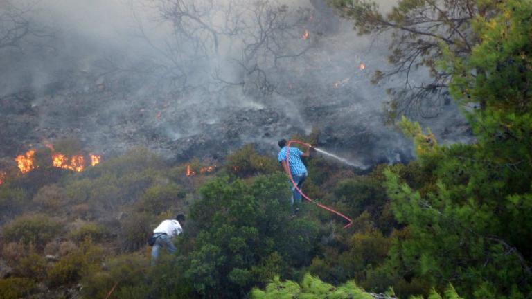 Σε ύφεση η φωτιά στον Ωρωπό μετά την ολονύκτια μάχη των πυροσβεστών