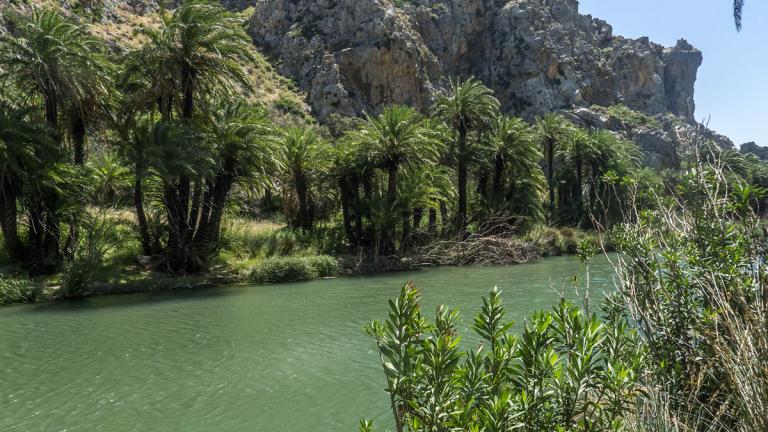 Απαγόρευση κυκλοφορίας σε περιαστικά δάση του Ρεθύμνου λόγω επικινδυνότητας εκδήλωσης πυρκαγιάς