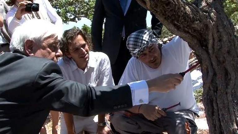 Ο Πρόεδρος της Δημοκρατίας μαζεύει μαστίχα στη Χίο (Φωτογραφίες)